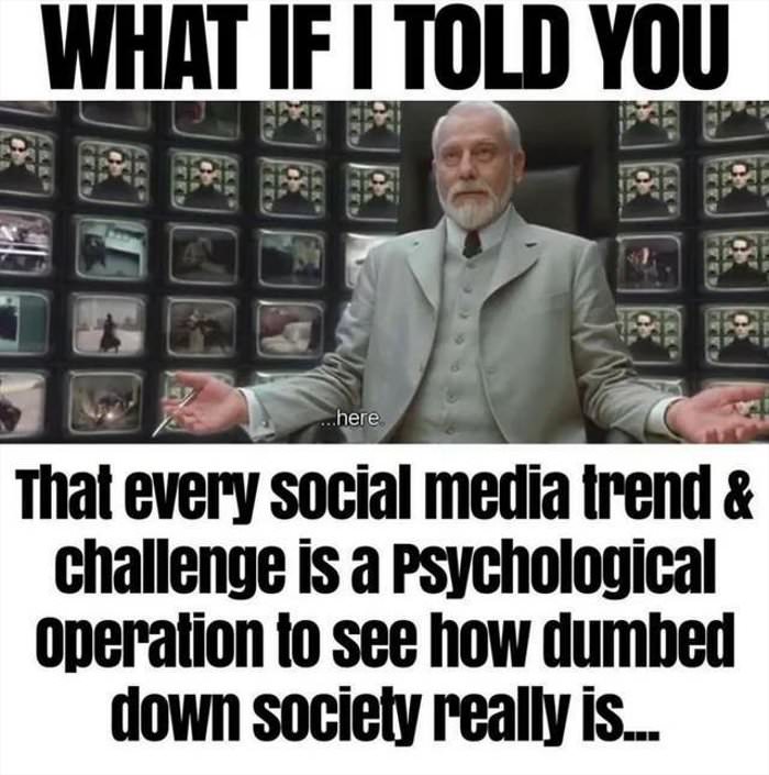 what if i told you ... 2