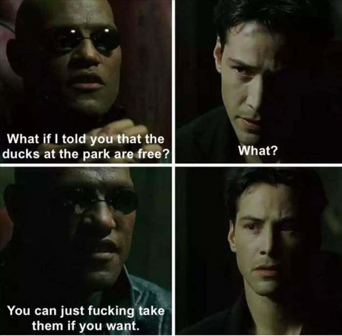 what if i told you ... 2