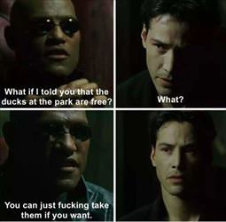 what if i told you ... 2