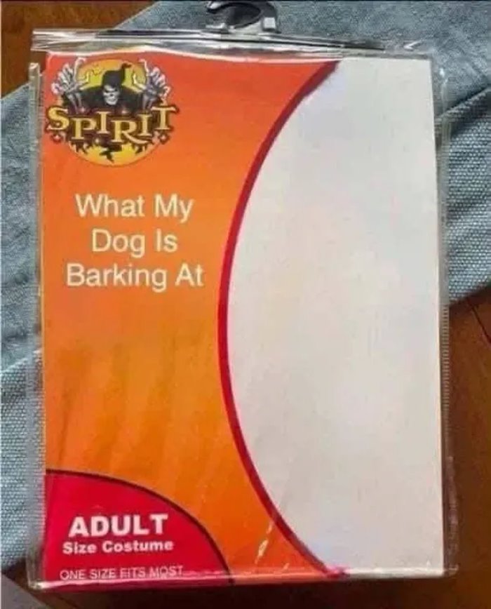 what is he barking at