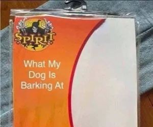 what is he barking at