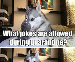 what jokes are allowed