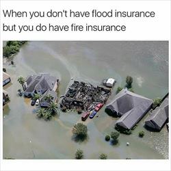 what kind of insurance do you have