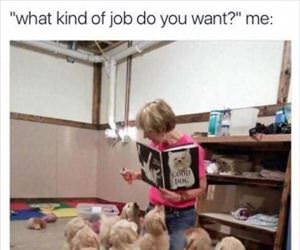 what kind of job do you want ... 2