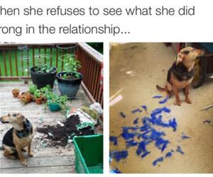 what she did wrong funny picture