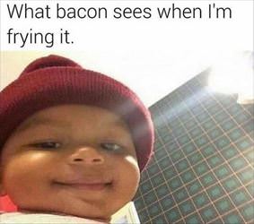 what the bacon sees