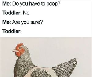 what you got there ... 2