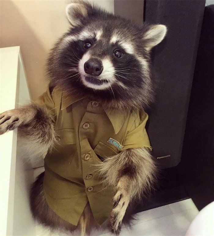 what you mean by that