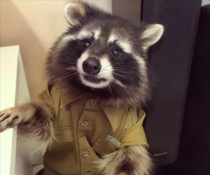 what you mean by that