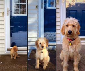 what a difference six months makes funny picture