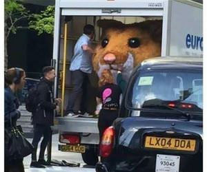 what are they hiding from us funny picture