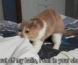 what did you do with them funny picture