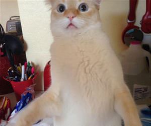 what did you say to me funny picture