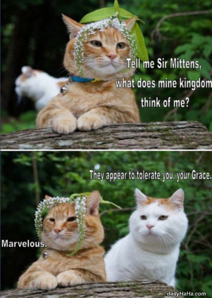 what do they think funny picture