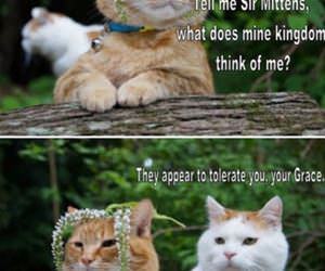 what do they think funny picture