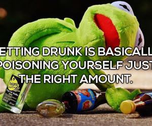 what getting drunk really is funny picture