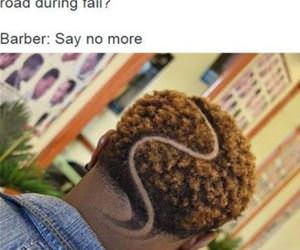 what hair you want funny picture