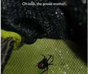 what is that in my shoe funny picture