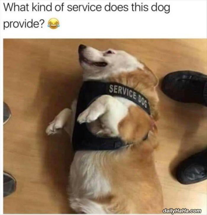 what kind of service funny picture