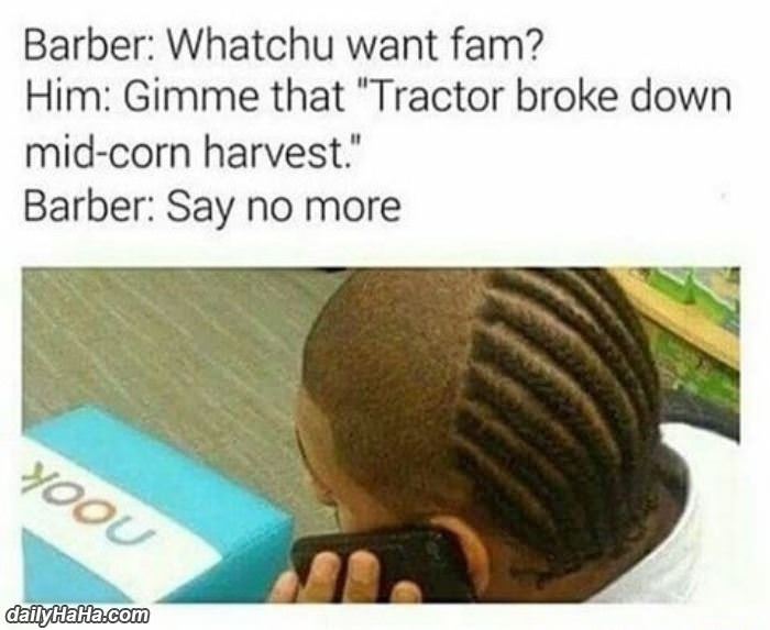 what look you want funny picture