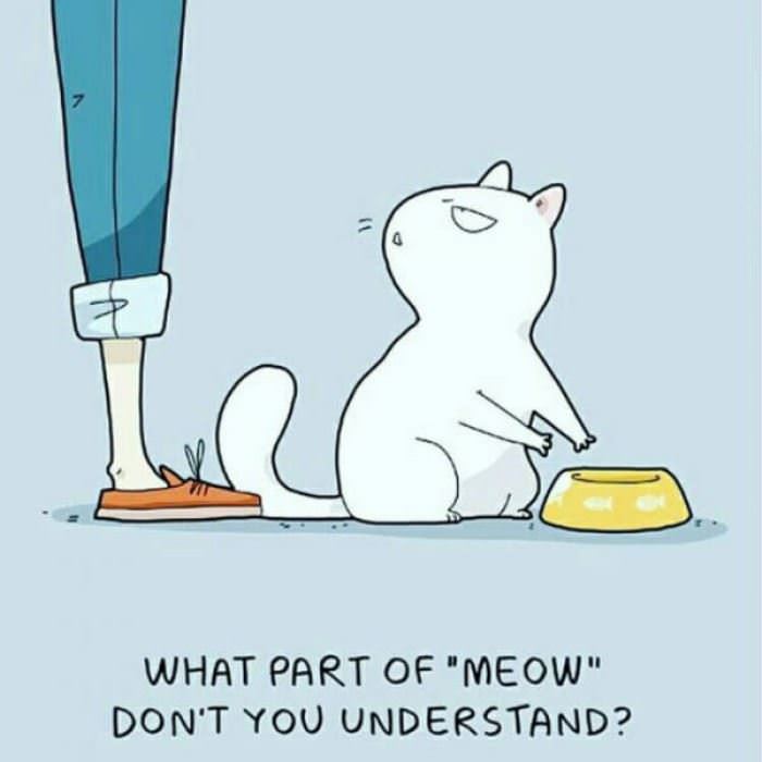 What Part Do You Not Understand