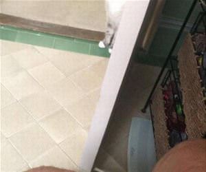 what the hell is that smell funny picture