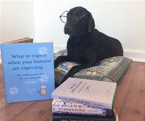 what to expect funny picture