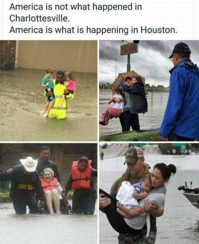 what we are funny picture