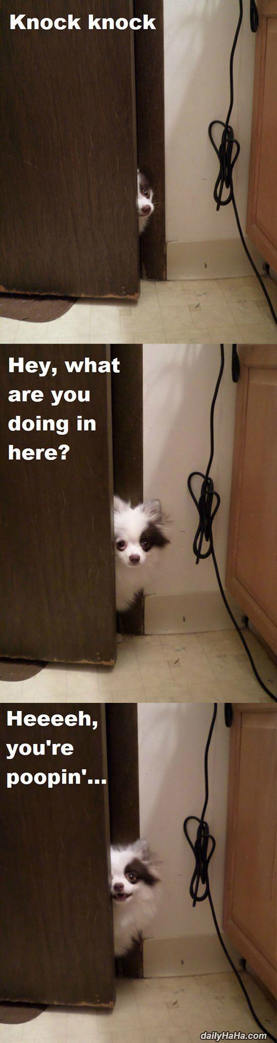 what you doing in here funny picture