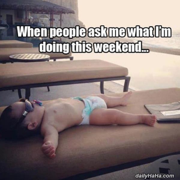 what you doing this weekend funny picture