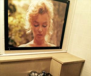 whatcha got there ... 2