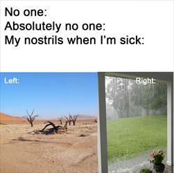 when I am sick