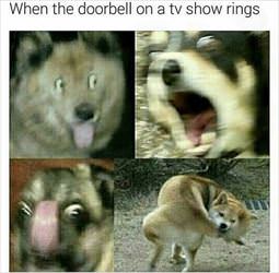 when a doorbell rings on tv