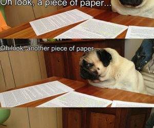 When Doing Homework funny picture