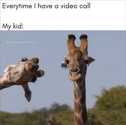 when i get a video call