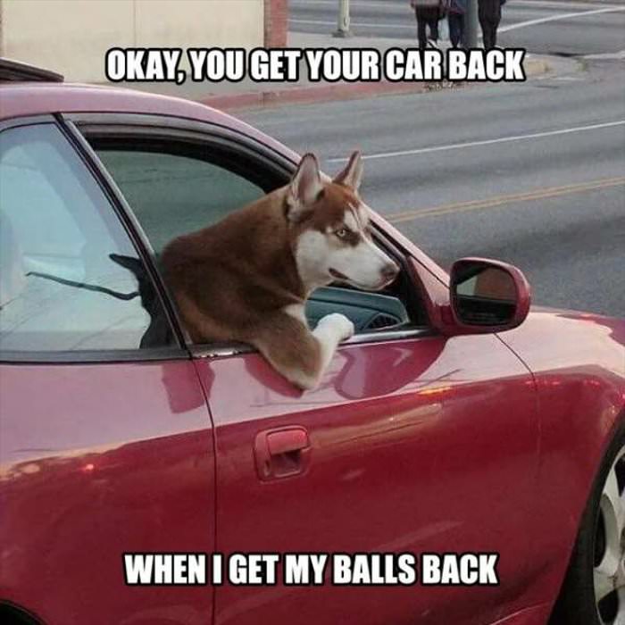 when i get my balls back