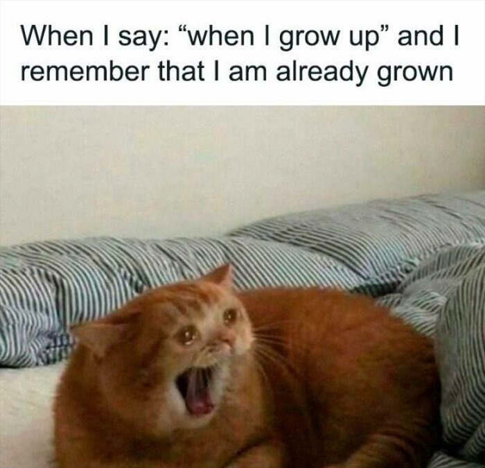 when i grow up ... 2