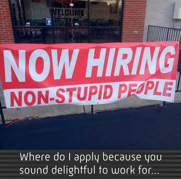 when-looking-for-a-job