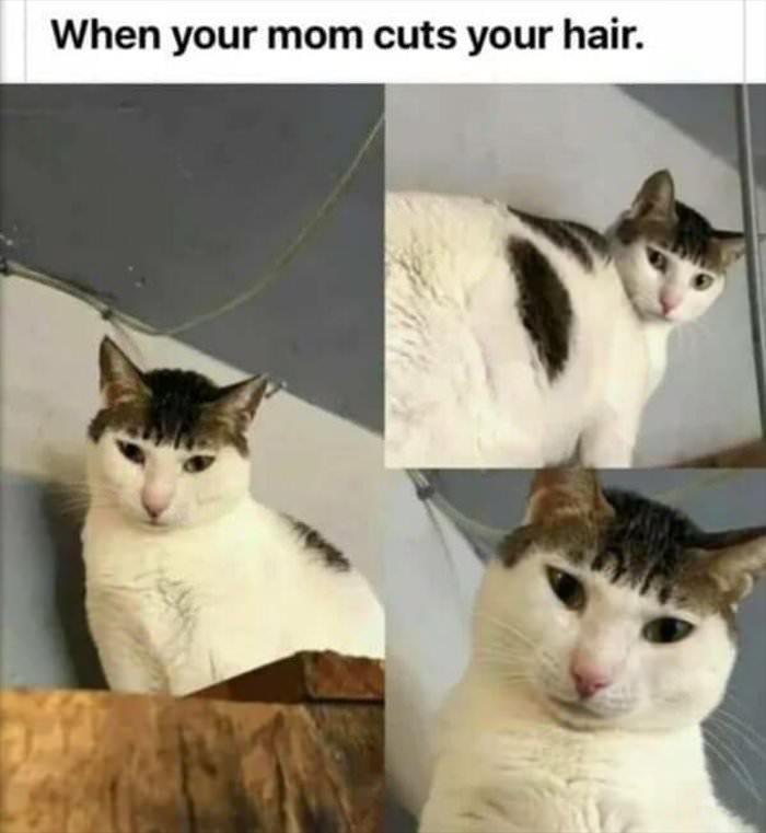 when mom cuts your hair