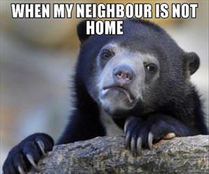 when my neighbor is not home ... 2