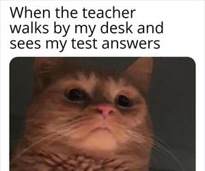 when the teacher walks by