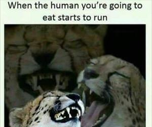 when they start to run