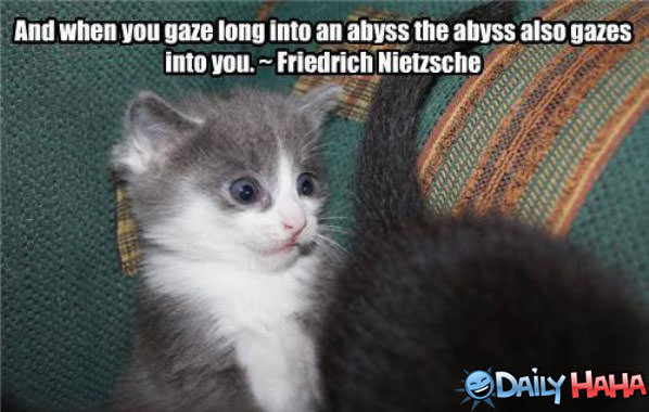 Gazing Abyss funny picture