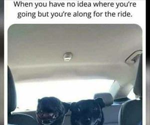 when you have no idea