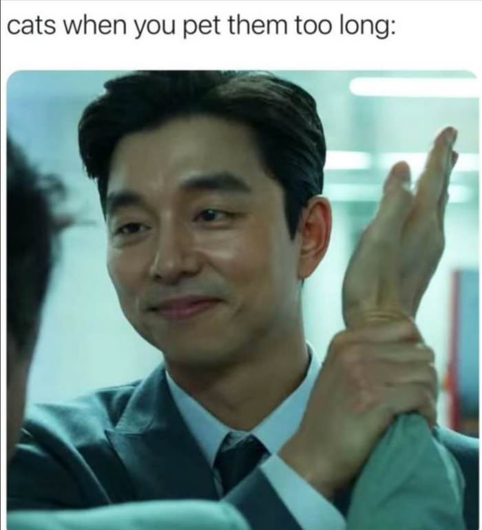 when you pet them too long