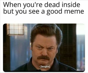when you see a good meme