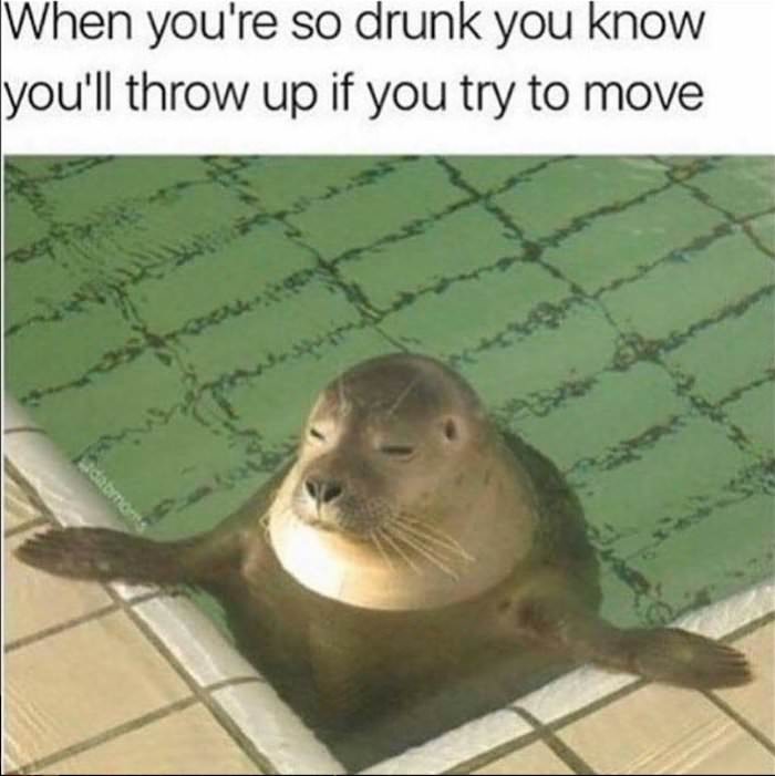 when you so drunk