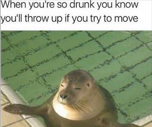 when you so drunk