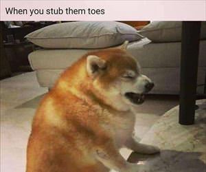 when you stub your toes