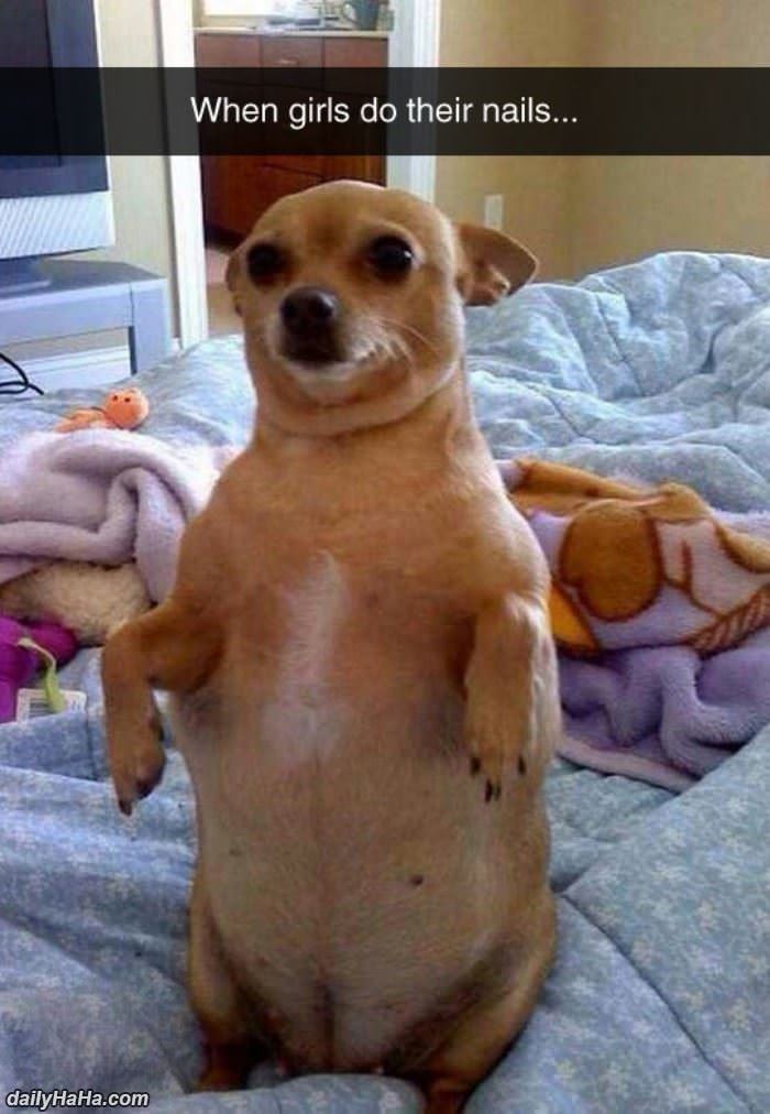 when girls do their nails funny picture